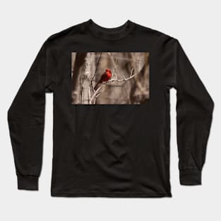 The Next Pope Long Sleeve T-Shirt